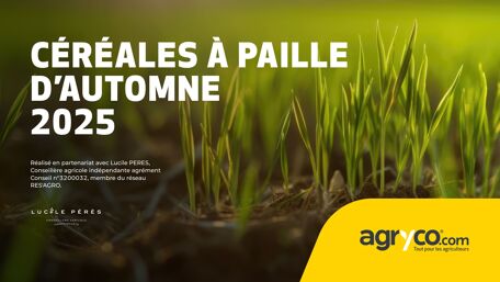 [NOUVEAU] Itinéraire cultural céréales <br/> à paille automne 2025