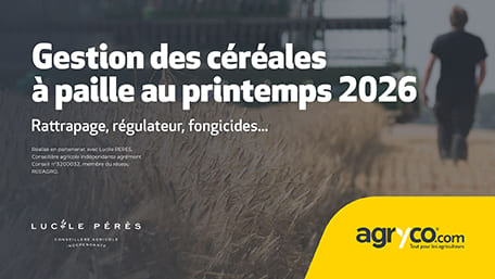 [NOUVEAU] Itinéraire cultural céréales à paille printemps 2026