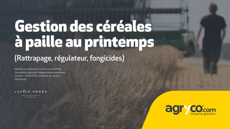 Itinéraire cultural <br/>céréales à paille  2025<br/> (partie printemps)