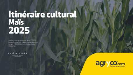 Itinéraire cultural <br/> maïs 2025