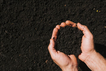 terre fertile