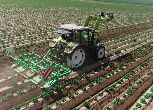 Désherbage pomme de terre : programmes 2026 et micronutrition au démarrage