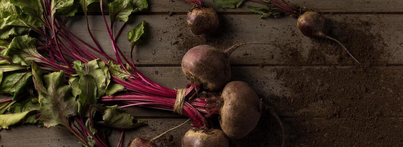 Rutabaga : Tout savoir, Itinéraire technique et conseils pratiques