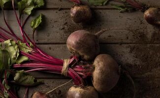 Rutabaga :  Tout savoir, Itinéraire technique et conseils pratiques