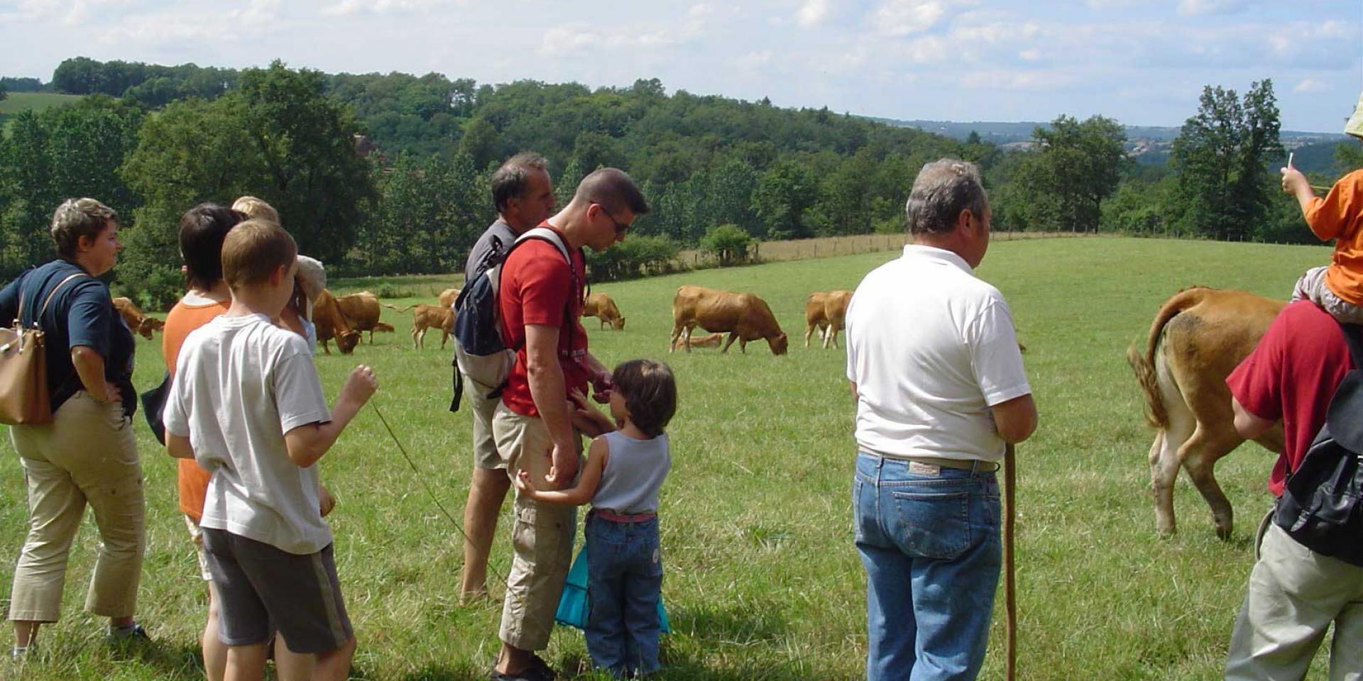 Reconnecter ville et campagne : pourquoi aller à la rencontre des agriculteurs change tout