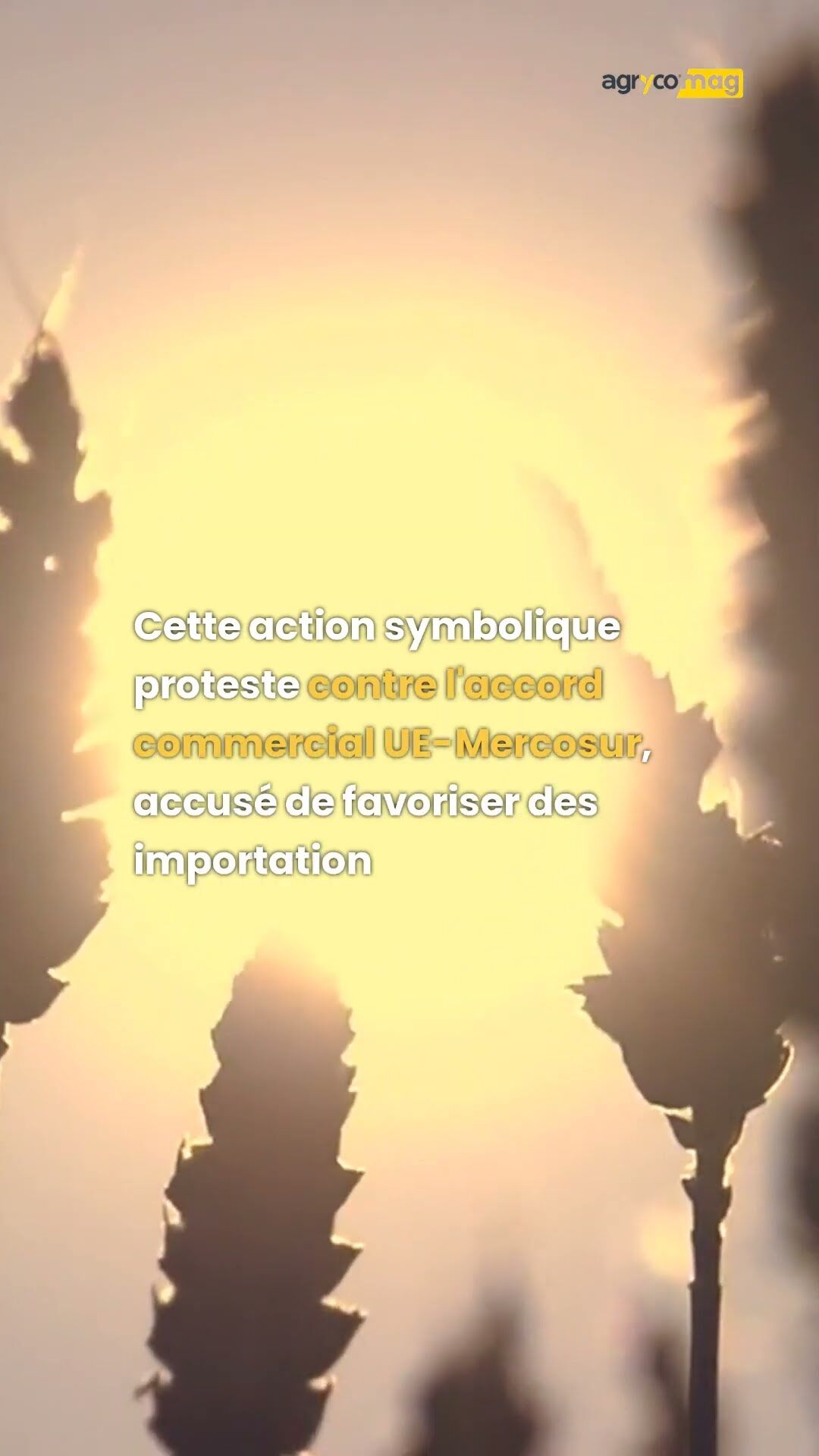 miniature vidéos d'actualités shorts agrycomag