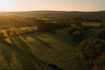 Prairie et bois au lever du soleil