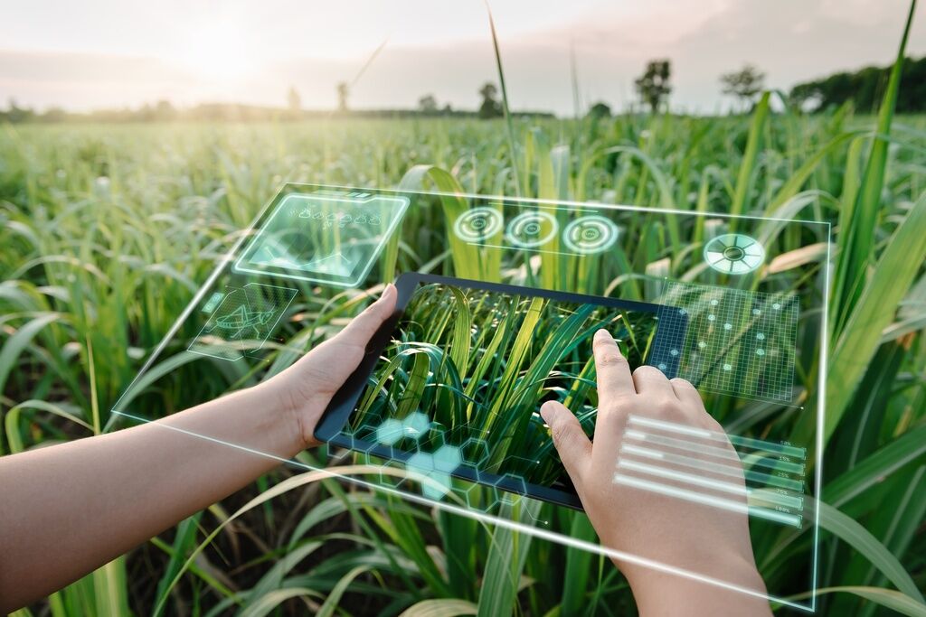 L’IA, alliée stratégique des grandes exploitations agricoles en 2025