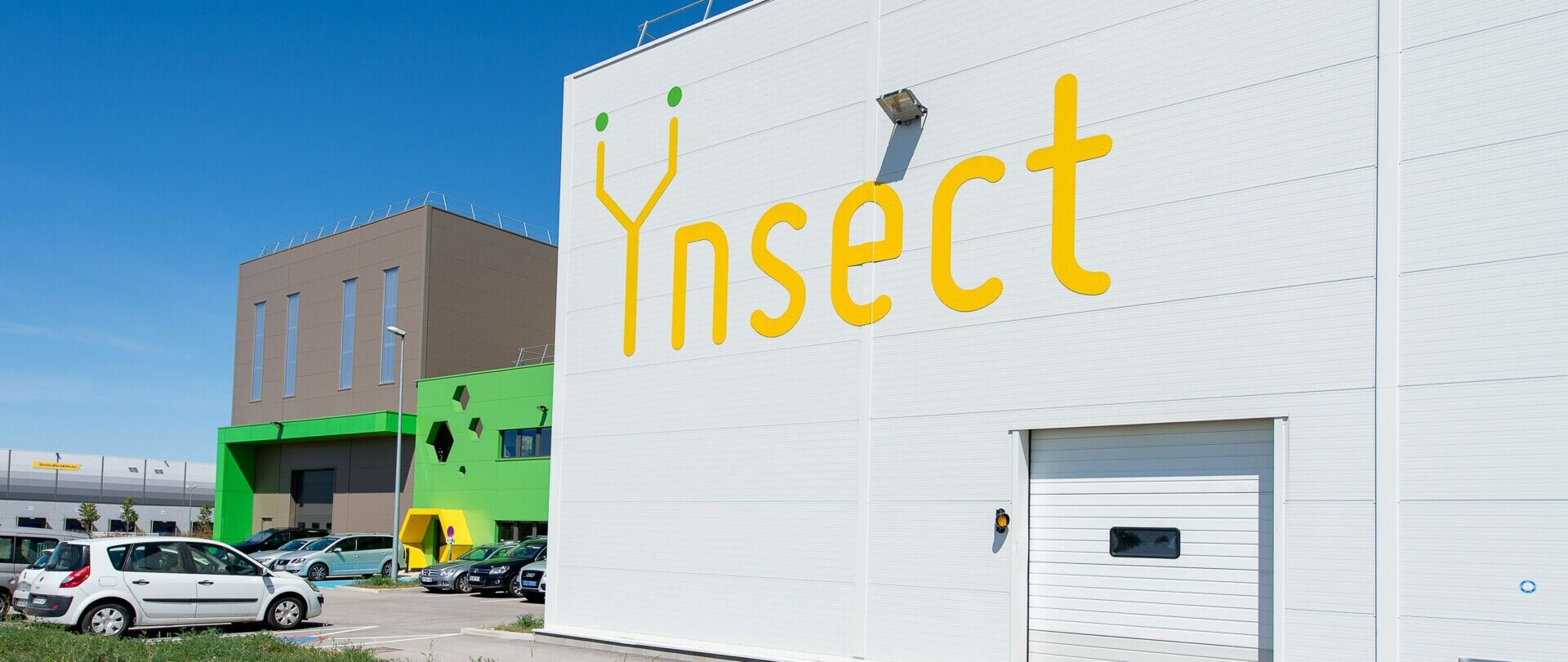 Ÿnsect : l’effondrement d’un géant des protéines d’insectes