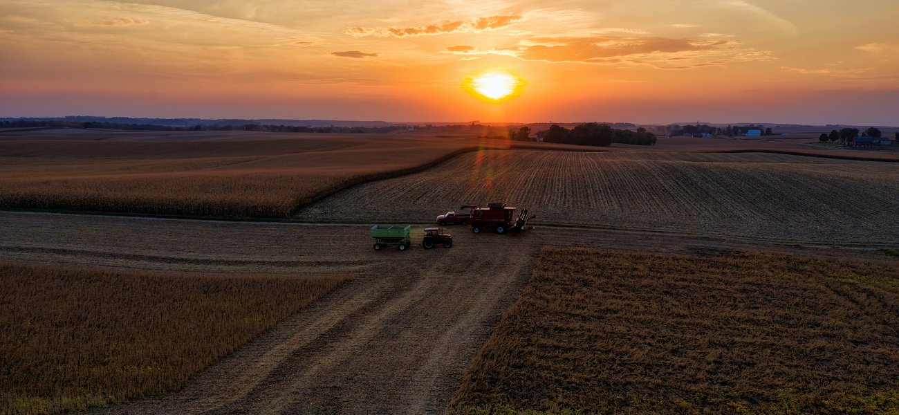 Campagne 2026 : premières tendances Agreste