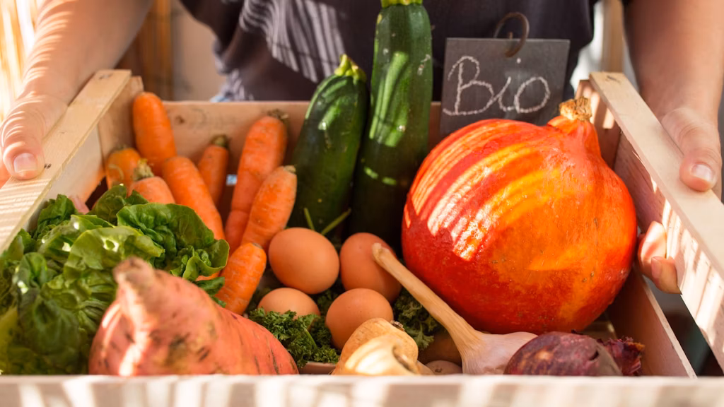 L’Agriculture Biologique en crise : la FNAB appelle à des mesures d’urgence