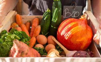 L’Agriculture Biologique en crise : la FNAB appelle à des mesures d’urgence