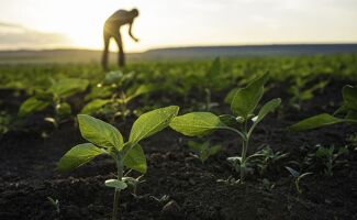 Agroécologie : 45 millions d’euros de financements ouverts cet été
