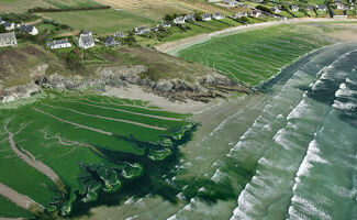 Algues vertes : la Bretagne serre la vis