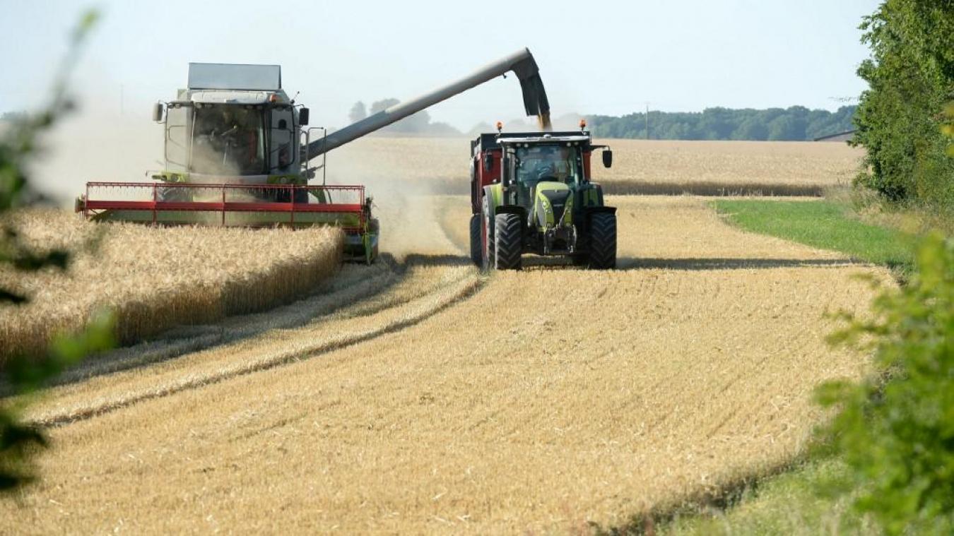 Les céréales bio : Bilan de la campagne 2024-2025 en France