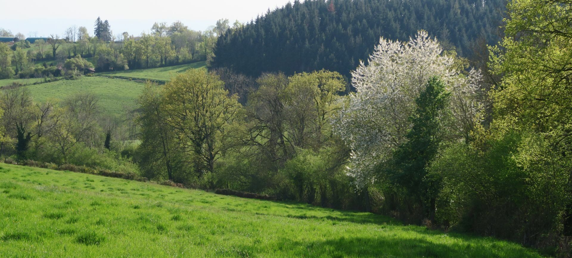 Projet de loi visant à établir des « prix planchers » pour soutenir les agriculteurs