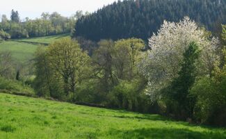 Projet de loi visant à établir des « prix planchers » pour soutenir les agriculteurs