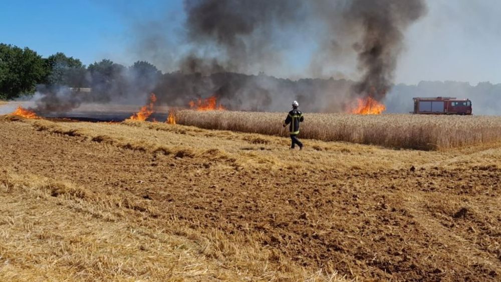 Feux agricoles : un danger sous-estimé