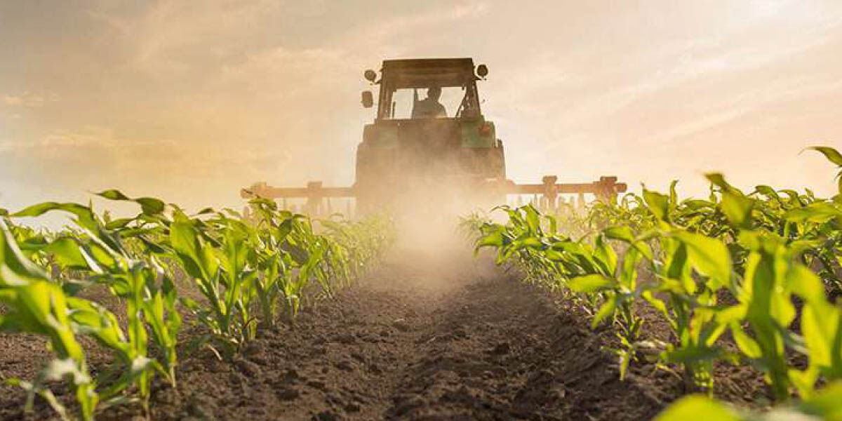 Évolution du machinisme agricole : quand l’innovation redessine les champs