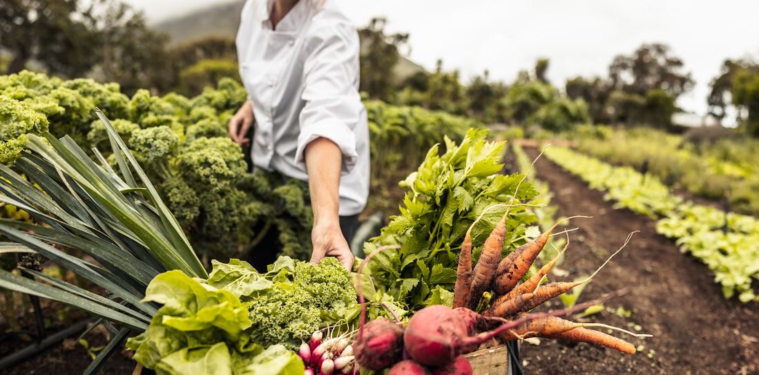 Congrès Légumes de France à Arras : un rendez-vous clé pour les maraîchers et légumiers