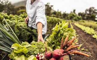 Congrès Légumes de France à Arras : un rendez-vous clé pour les maraîchers et légumiers