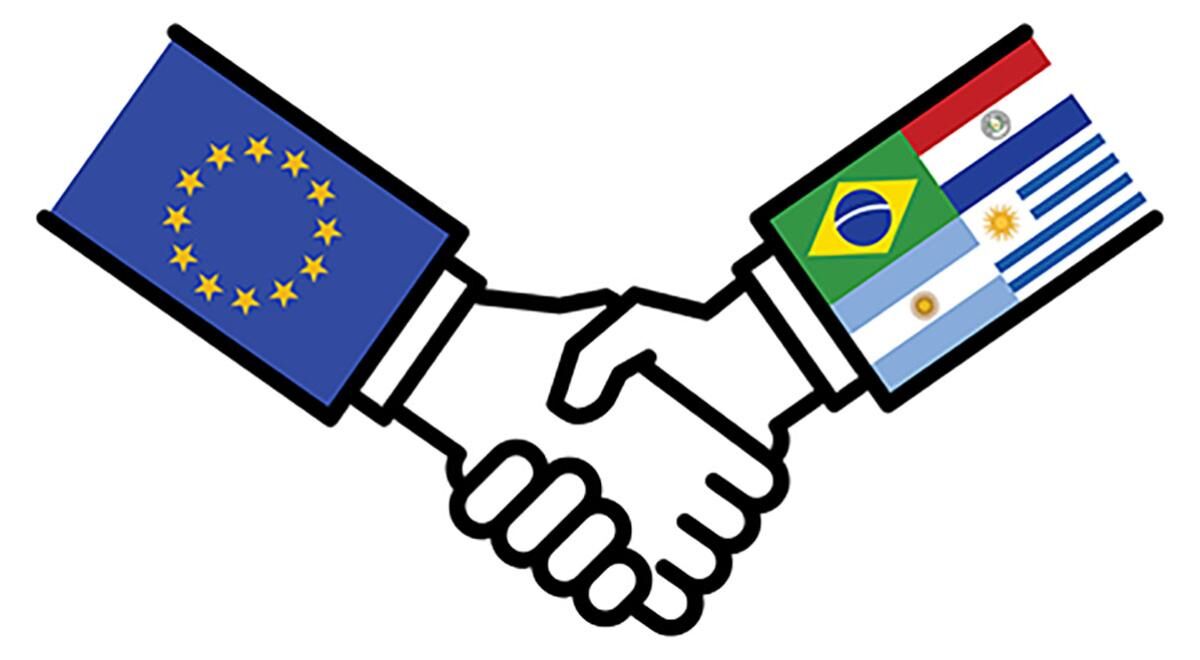Mercosur : entre pressions réglementaires et inquiétudes des éleveurs français