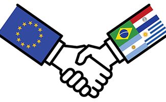Mercosur : entre pressions réglementaires et inquiétudes des éleveurs français