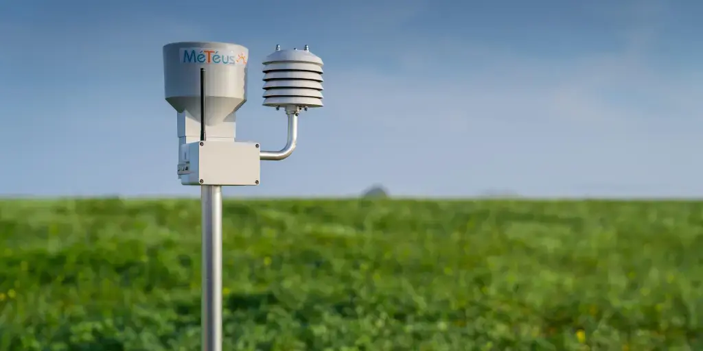 Mai 2025 : Un mois chaud et sec qui inquiète sérieusement les agriculteurs