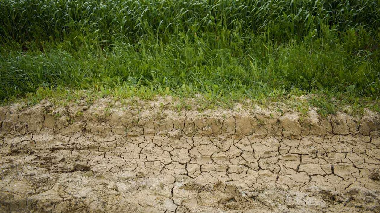 Sécheresse persistante dans le nord de la France : une situation inédite et alarmante.