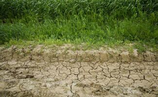 Sécheresse persistante dans le nord de la France : une situation inédite et alarmante.
