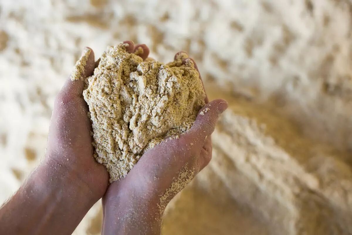 Tourteaux : entre appétit chinois et récolte record au Brésil, les marchés hésitent