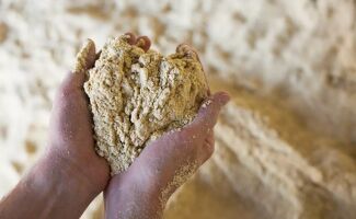 Tourteaux : entre appétit chinois et récolte record au Brésil, les marchés hésitent