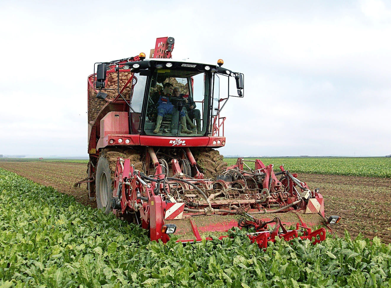 Betterave et pomme de terre : les surfaces en recul, symptôme d’un modèle agricole en mutation