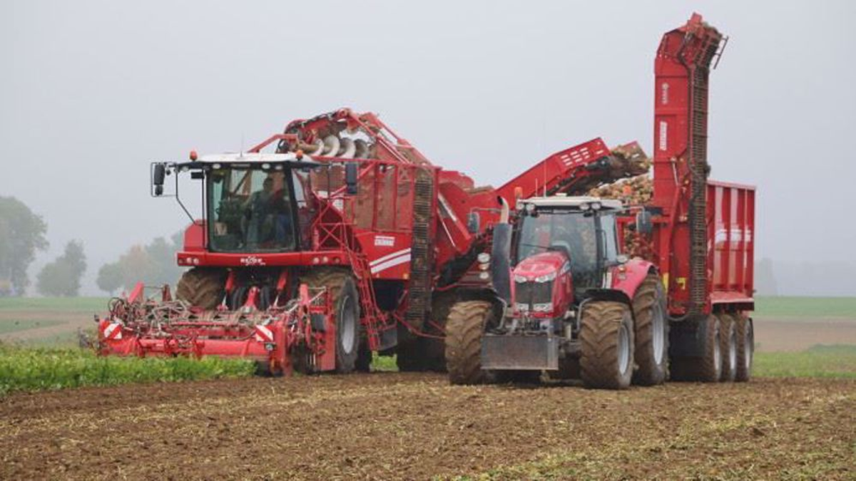 arracheuse-betterave-cdt