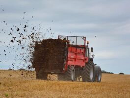 Engrais de fond : minéraux ou organiques ?