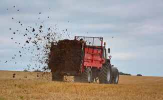 Engrais de fond : minéraux ou organiques ?
