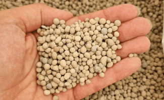 Superphosphate, DAP, MAP : quel engrais phosphaté choisir ?