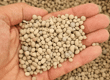 Superphosphate, DAP, MAP : quel engrais phosphaté choisir ?