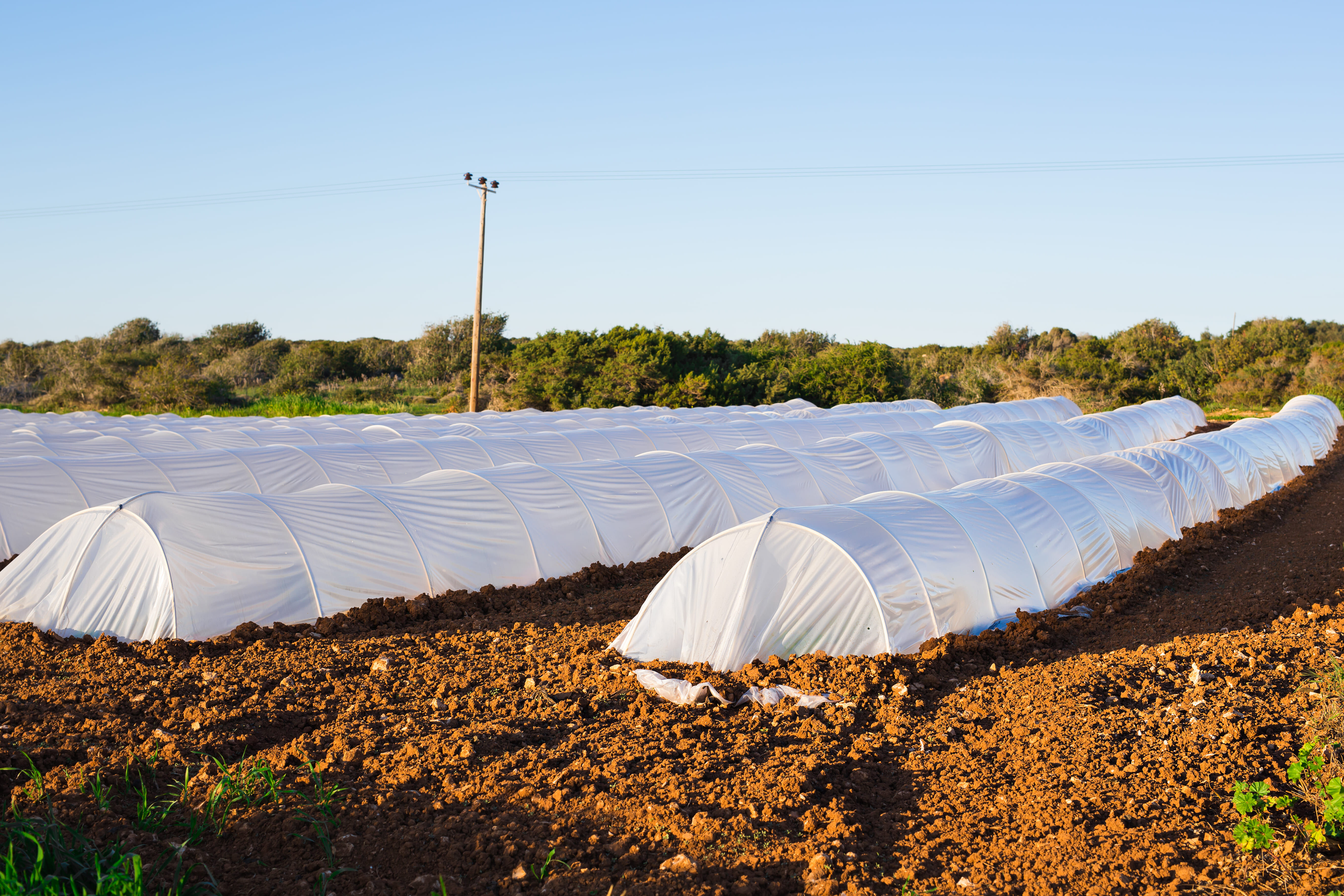 Choisir la bonne bâche agricole