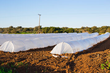 bache agricole blanche