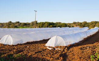 Choisir la bonne bâche agricole