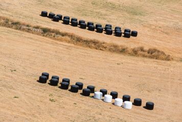 balles de foin sous bache ensilage