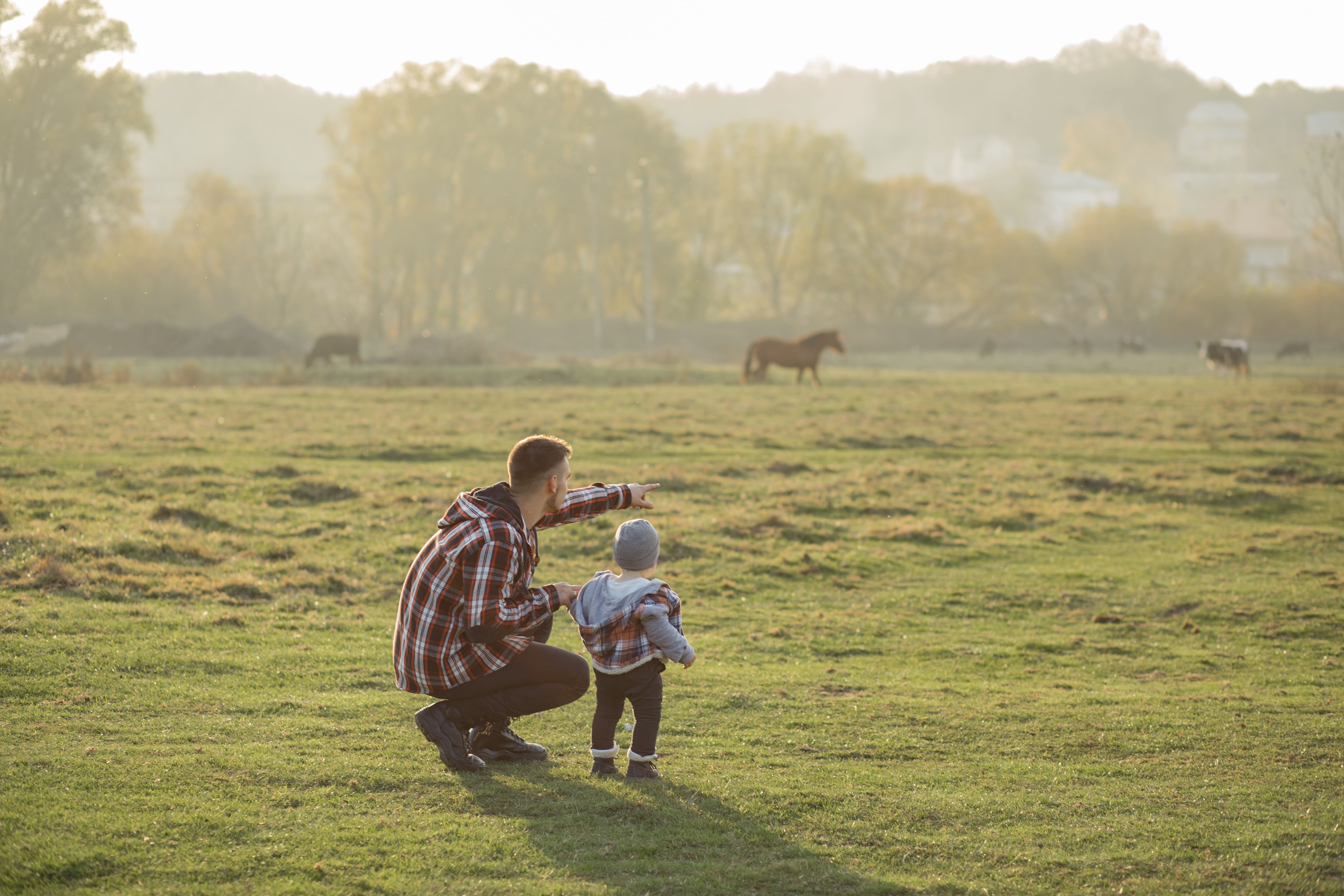 Agriculteurs et son fils regardant le bétail en paturage