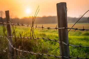 cloture barbelee autour d'une prairie