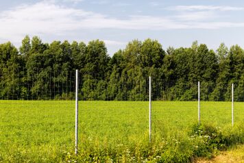 cloture electrique dans une prairie
