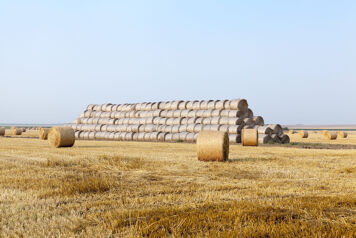 conservation fourrages paille