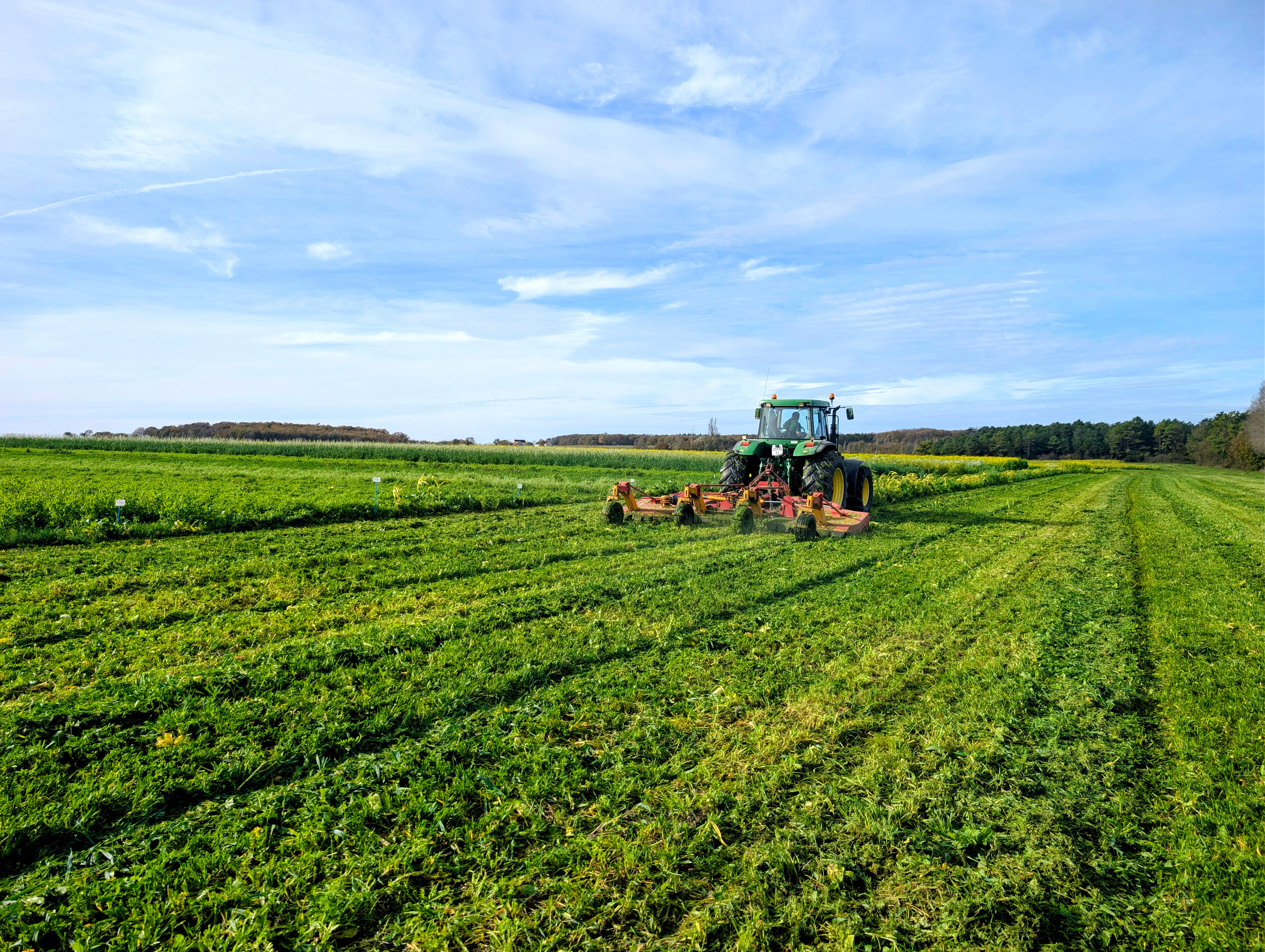 Réussir son couvert végétal : semis, profondeur et destruction