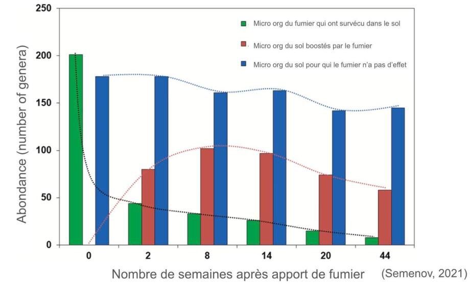Évolution de la biomasse microbienne du sol après apport de 50 t/ha de fumier en TCS