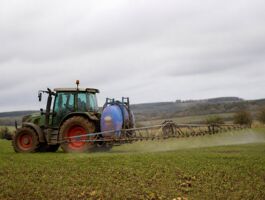 Désherbage des céréales à paille : nos préconisations pour l'automne 2026