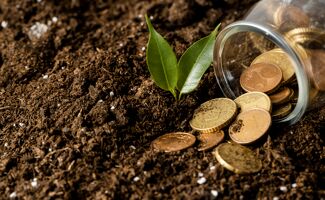 Investir dans son capital organique : du diagnostic au plan d'action